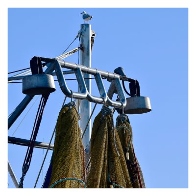 Fishing Nets #1
