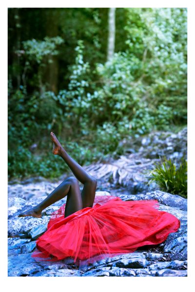 Fine Art Photograph - Forest Bathing